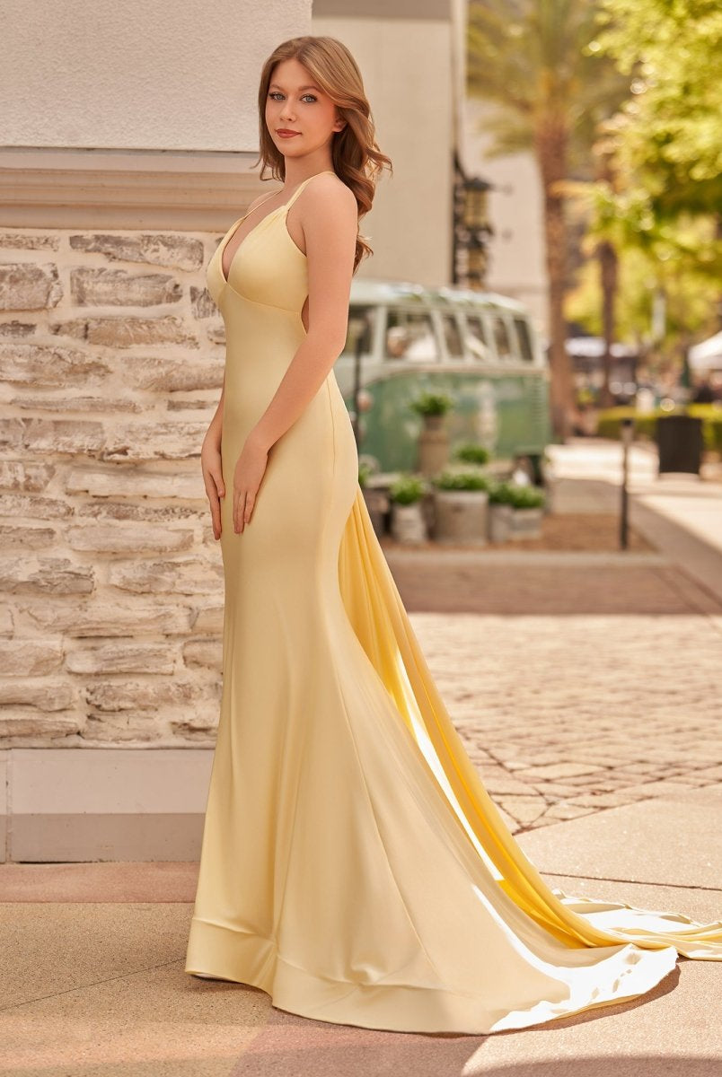 Quaylee | Yellow Mermaid V-Neck Satin Prom Dresses With Tail Evening Dress