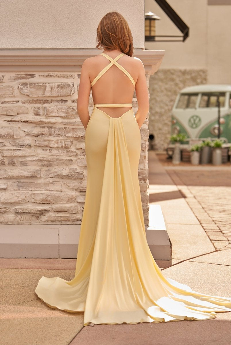 Quaylee | Yellow Mermaid V-Neck Satin Prom Dresses With Tail Evening Dress