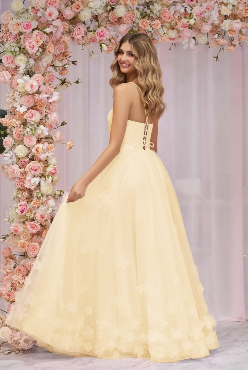Arabella |A-line Spaghetti Straps Pink Tulle Prom Dress