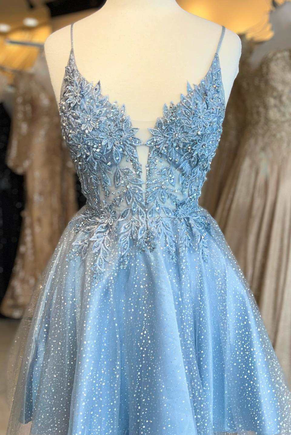 Light Blue Floral Lace Plunge Neck A-Line Short Party Dress