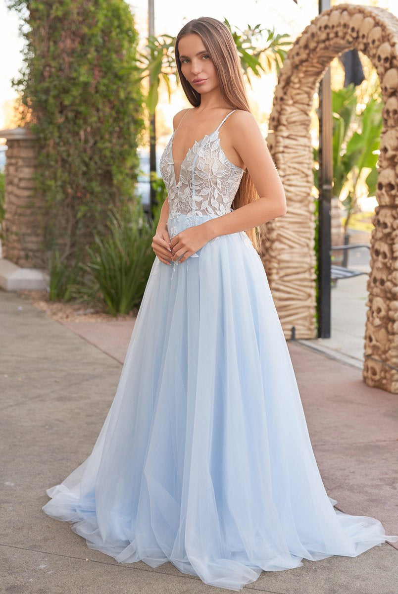 Cynthia | Light Blue V Neck Lace-Up Appliques Tulle Long Prom Dress