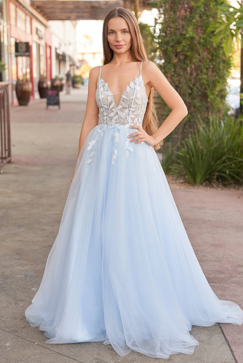 Cynthia | Light Blue V Neck Lace-Up Appliques Tulle Long Prom Dress