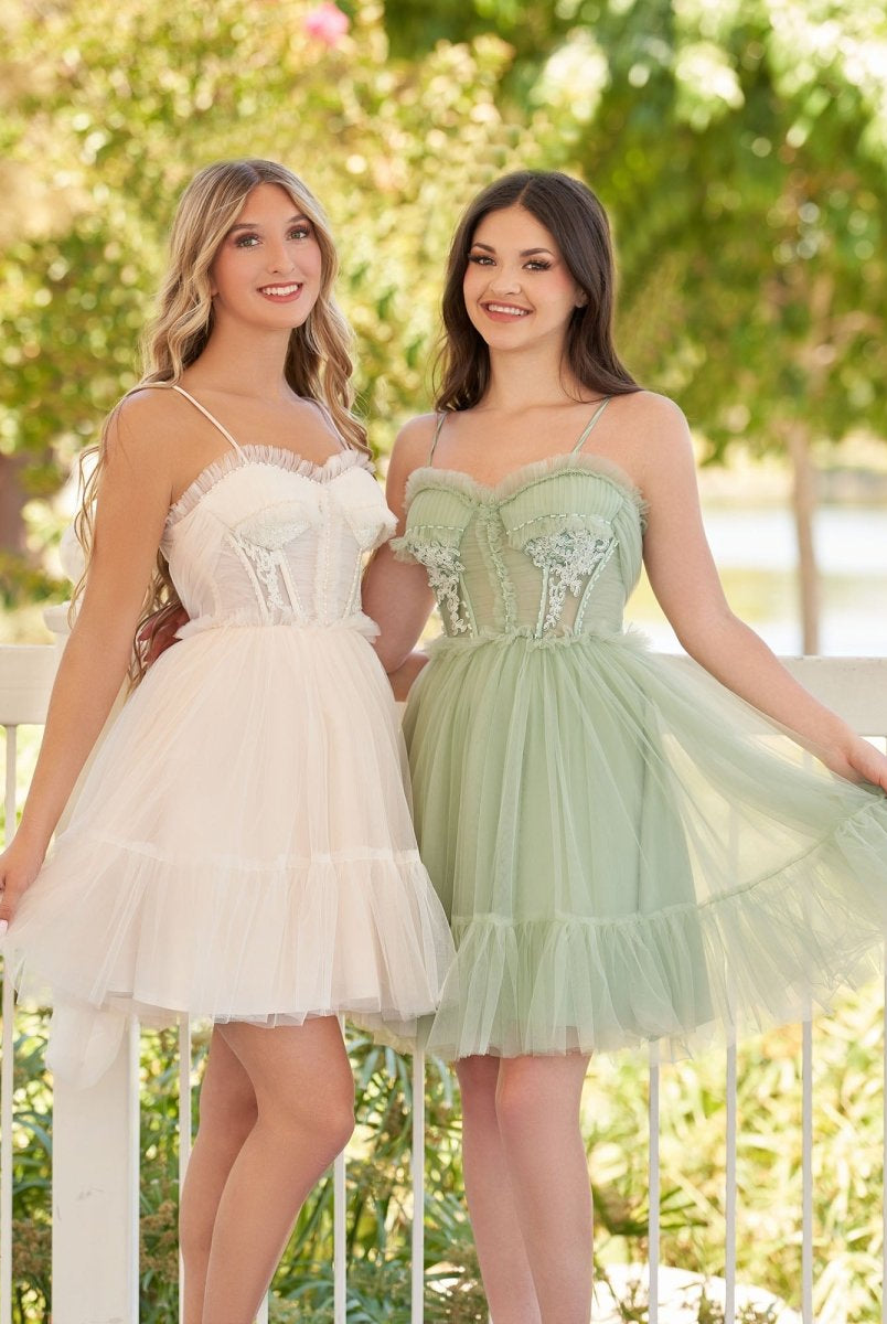 Rosa | Spaghetti Straps Tulle Lace Appliques Short Prom Dresses With Bow - KissProm