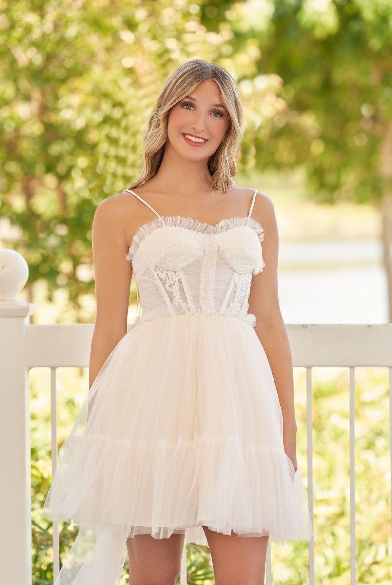 Rosa | Spaghetti Straps Tulle Lace Appliques Short Prom Dresses With Bow - KissProm