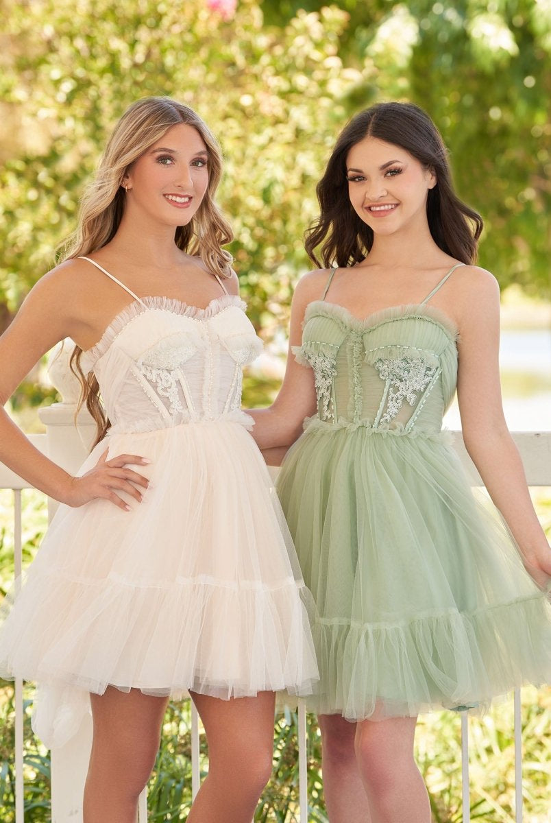 Rosa | Spaghetti Straps Tulle Lace Appliques Short Prom Dresses With Bow - KissProm
