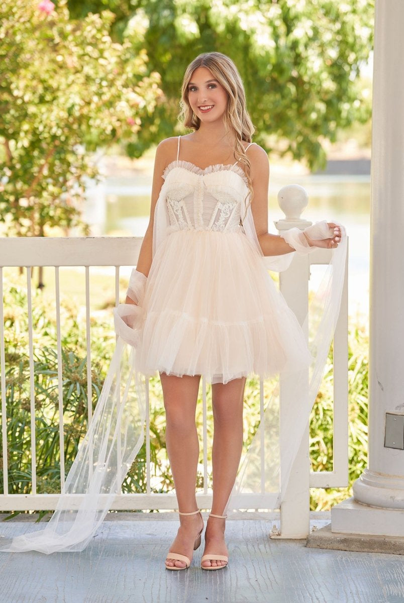 Rosa | Spaghetti Straps Tulle Lace Appliques Short Prom Dresses With Bow - KissProm