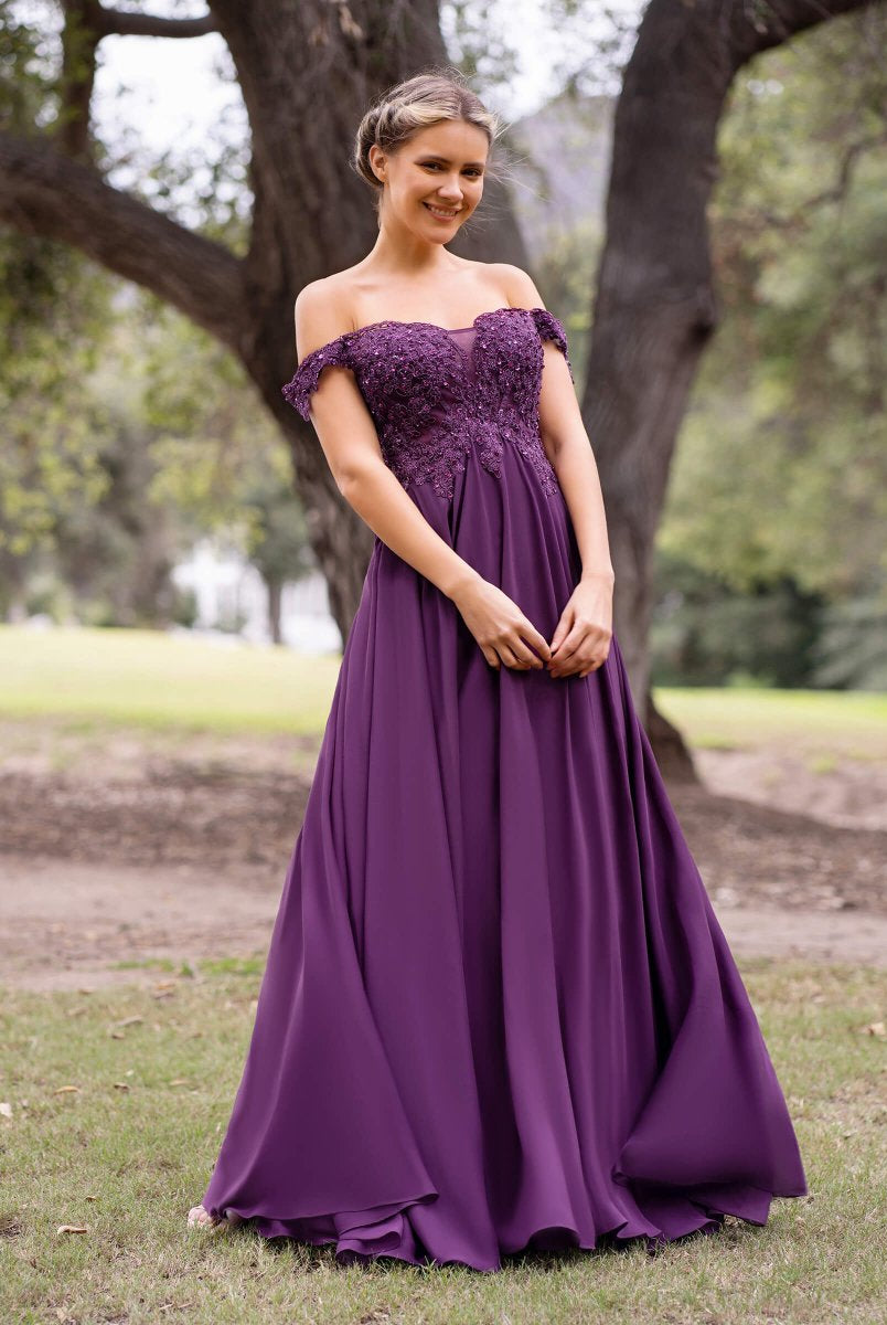 Applique Lace Floor Length Chiffon Prom Dress