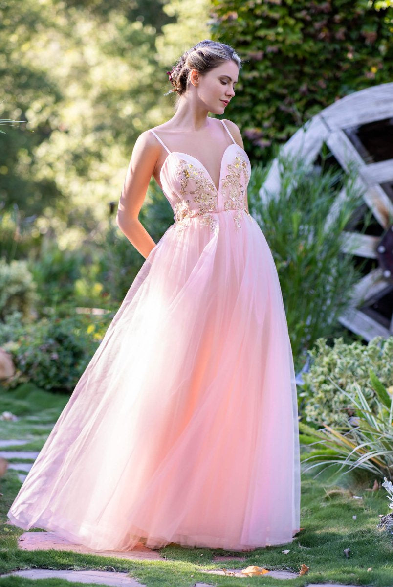 A-line Deep V Neckline Applique Tulle Prom Dress