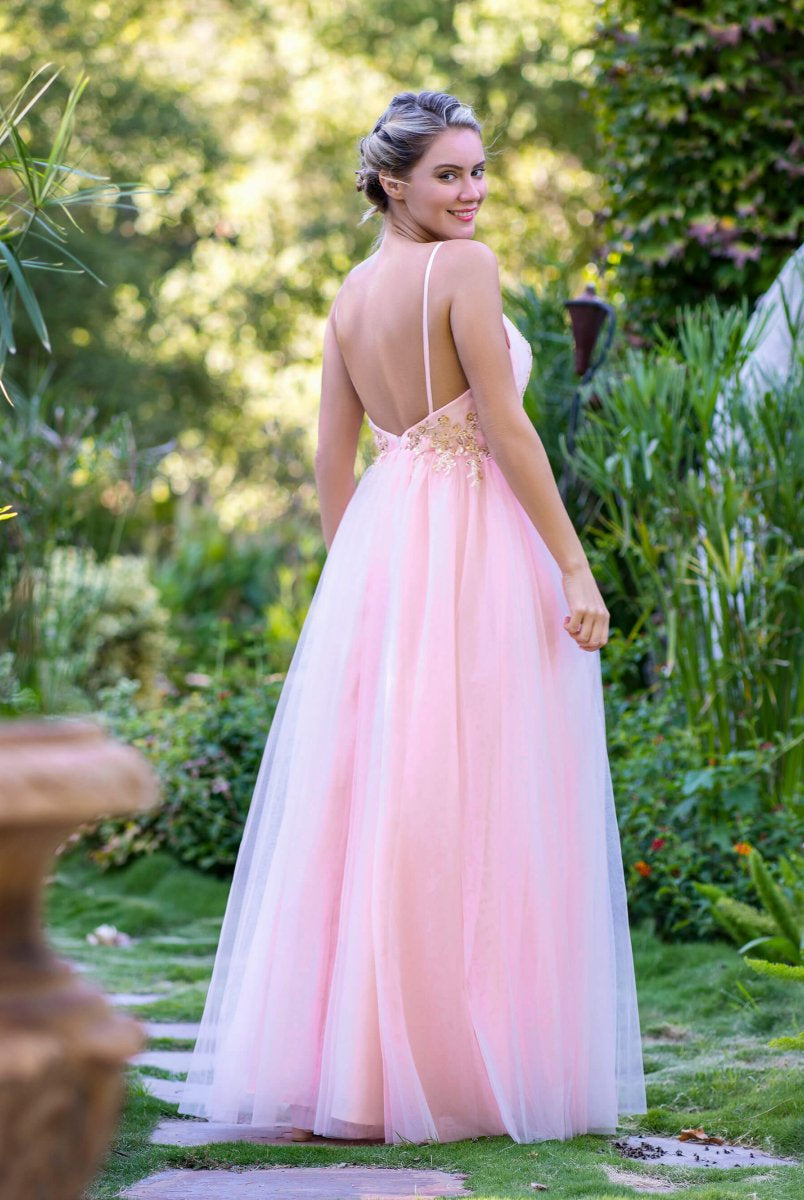 A-line Deep V Neckline Applique Tulle Prom Dress