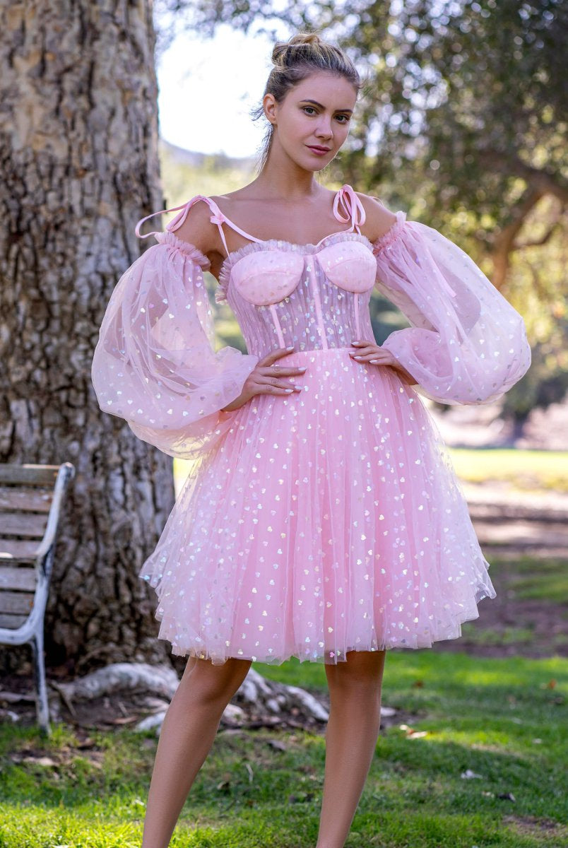 Corset Glitter Hearts Above Knee Length Tulle Dress