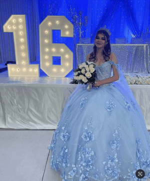 Sky Blue Long Dress 3D Applique Off Shoulder Ball Gown Quinceanera Dresses