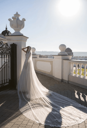 Simple Jewel Long Sleeve Brush Train Tulle Ball Gown Wedding Dress with Appliques