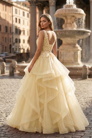 A-Line Prom Dresses Princess Dress Formal Floor Length Sleeveless V Neck Tulle Backless with Pleats Appliques