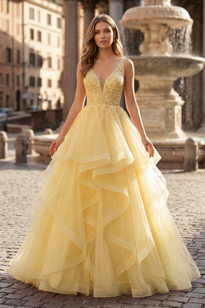 A-Line Prom Dresses Princess Dress Formal Floor Length Sleeveless V Neck Tulle Backless with Pleats Appliques