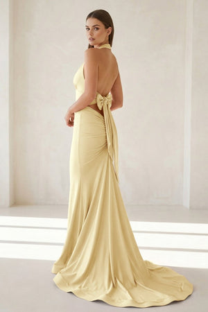 Aurithe | Pink - Halter Mermaid Satin Open Back Formal Prom Dresses With Bow - KissProm