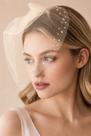 Birdcage Veils Vintage - Inspired with Tiny Crystals in Champagne - KissProm Wedding Veils