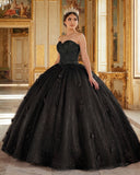 Black 3D Flowers Glitter Sequins Sleeveless Quinceanera Dresses | KISSPROM