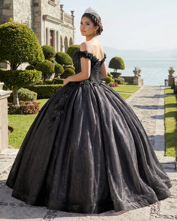 Black Off the Shoulder Glitter 3D Floral Quinceanera Dresses (2) | KISSPROM