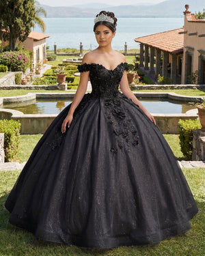 Black Off the Shoulder Glitter 3D Floral Quinceanera Dresses | KISSPROM