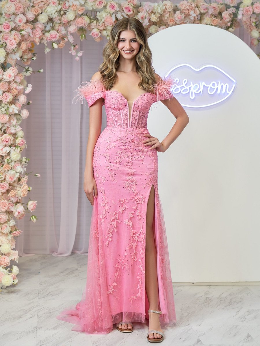 Elaina |Mermaid Deep V Neck Feather Lace Long Prom Dress