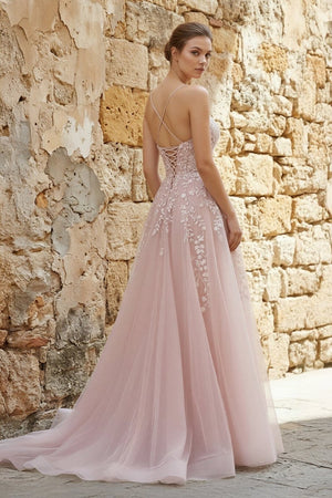 A - line Spaghetti Straps Tulle Prom Dress with Appliques - KissProm