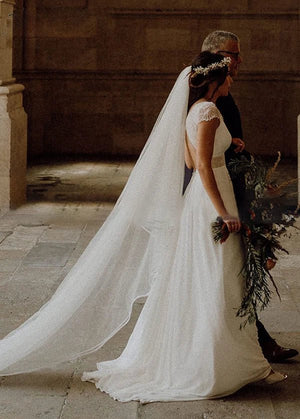 Chiffon V-Neck Short-Sleeve Wedding Dresses Cutout Back Bridal Gowns