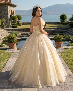 Champagne Elegant Organza Strapless Quinceanera Dresses (2) | KISSPROM