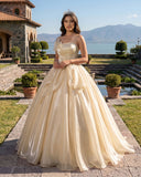 Champagne Elegant Organza Strapless Quinceanera Dresses | KISSPROM