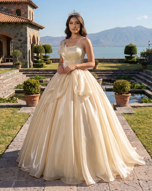 Champagne Elegant Organza Strapless Quinceanera Dresses | KISSPROM