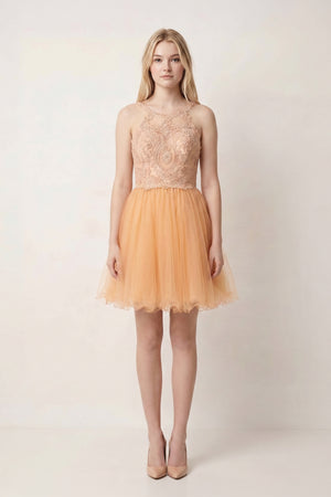 Champagne Embellished Embroidery Tulle Short Homecoming Dress - KISSPROM