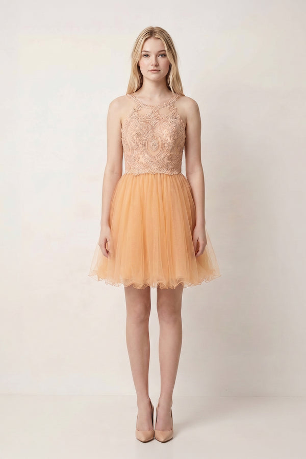 Champagne Embellished Embroidery Tulle Short Homecoming Dress - KISSPROM