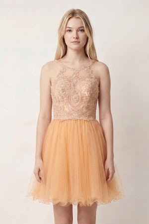 Champagne Embellished Embroidery Tulle Short Homecoming Dress - KISSPROM