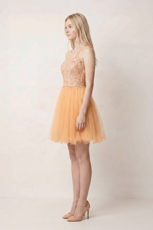 Champagne Embellished Embroidery Tulle Short Homecoming Dress - KISSPROM
