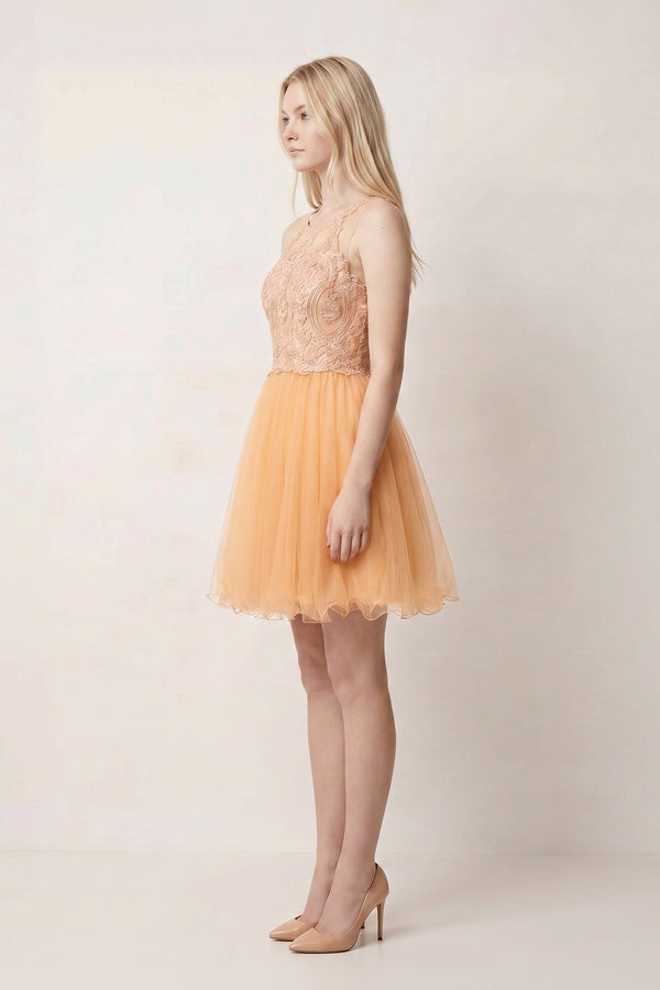 Champagne Embellished Embroidery Tulle Short Homecoming Dress - KISSPROM