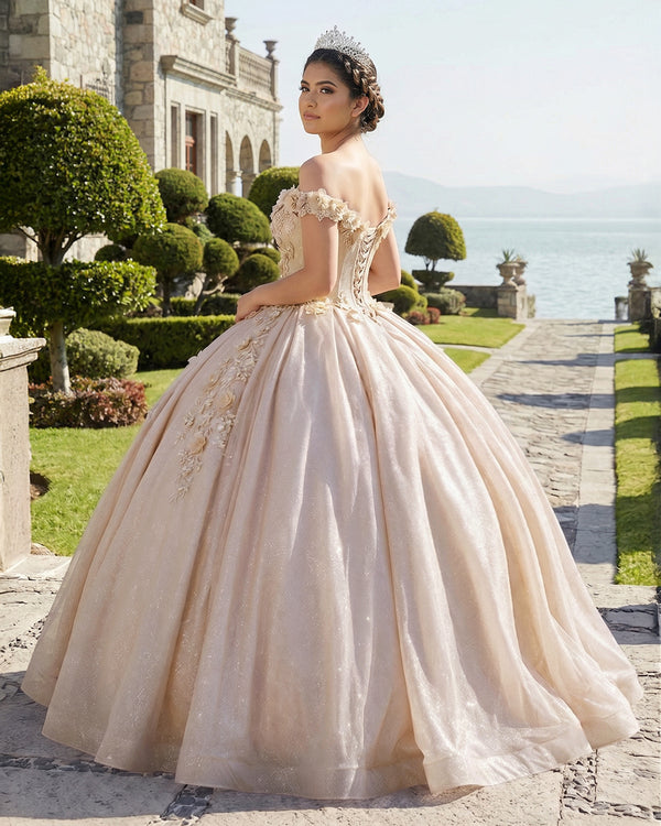 Champagne Off the Shoulder Glitter 3D Floral Quinceanera Dresses (2) | KISSPROM