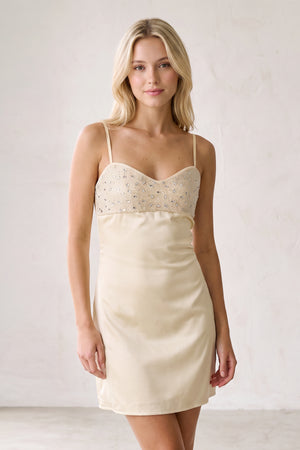 Champagne Spaghetti Straps Sheath Rhinestones Satin Homecoming Dress with Tie Back (3) | KISSPROM