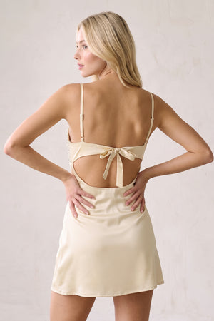 Champagne Spaghetti Straps Sheath Rhinestones Satin Homecoming Dress with Tie Back (4) | KISSPROM