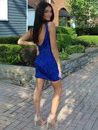 Annora |Bodycon V Neck Sequins Homecoming Dress
