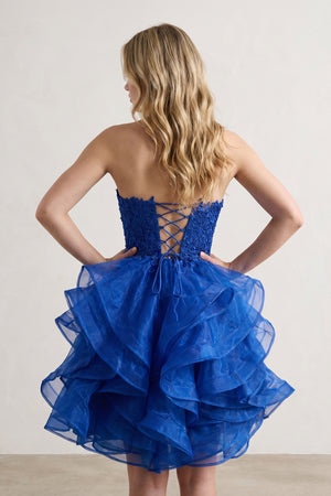 A-line Lace Appliques Organza Short Homecoming Dress - KissProm
