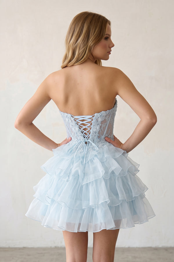Cute A Line Light Blue Organza Homecoming Dresses - KissProm