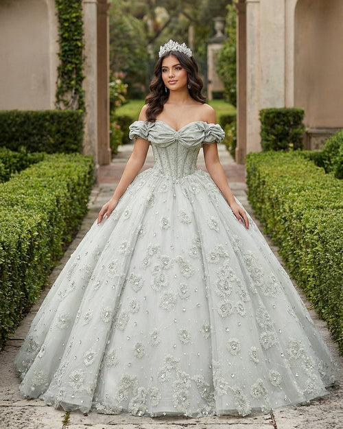 Quinceanera Dress Elegant Grey Quinceanera Dresses Sweetheart Sleeveless Ball Gown Party Dresses - KissProm