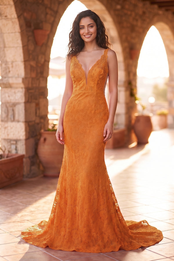 Elegant Mermaid V-Neck Pink Lace Prom Dress - KissProm