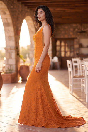 Elegant Mermaid V-Neck Pink Lace Prom Dress - KissProm