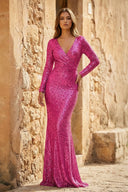 Elegant Sheath V-Neck Long Sleeves Sequin Prom Dress