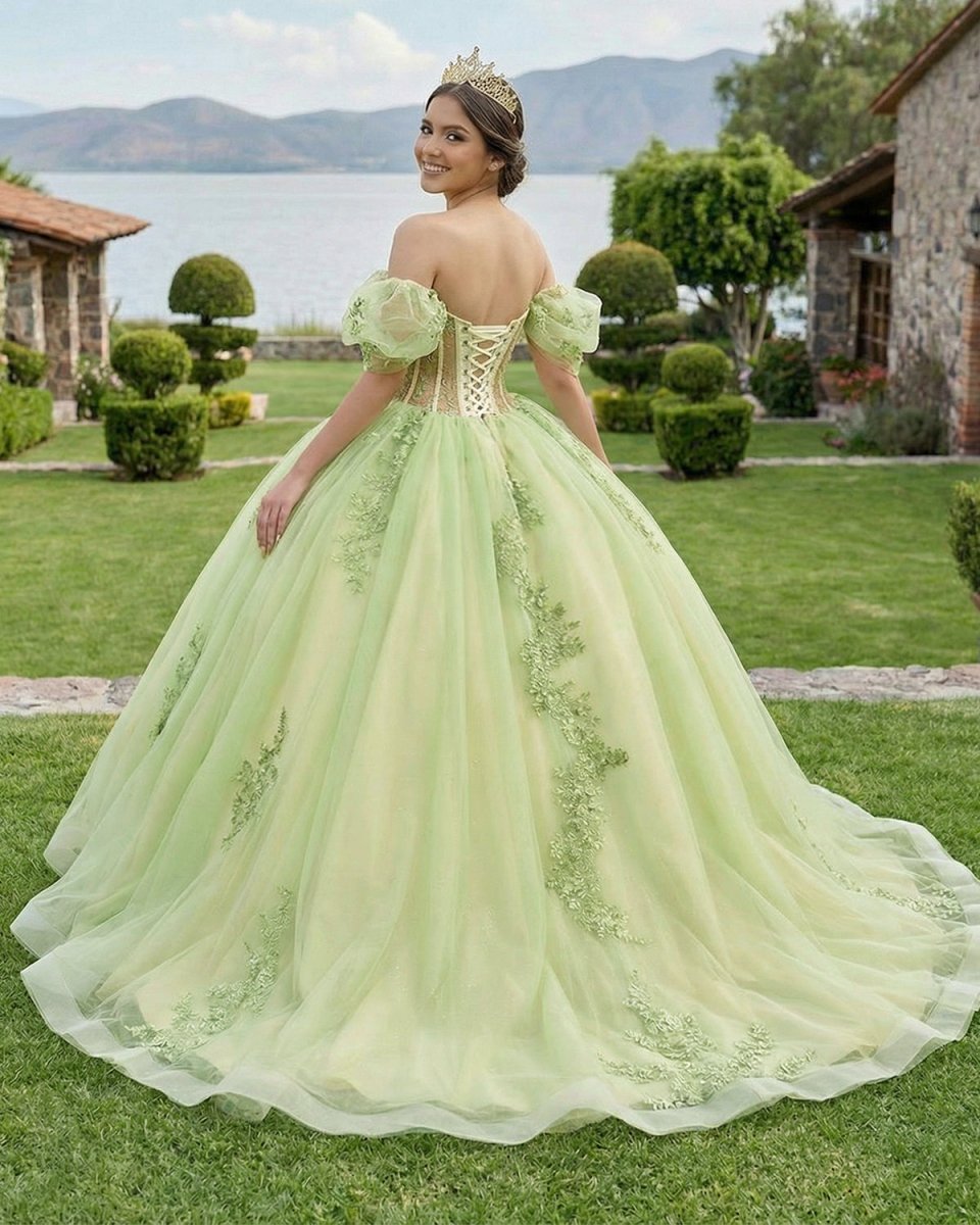 Sage Green Off Shoulder Beading Floral Appliqué Quinceanera Dress