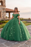 Green Off Shoulder 3D Floral Applique Quinceanera Dresses (2) | KISSPROM