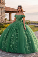 Green Off Shoulder 3D Floral Applique Quinceanera Dresses - KISSPROM