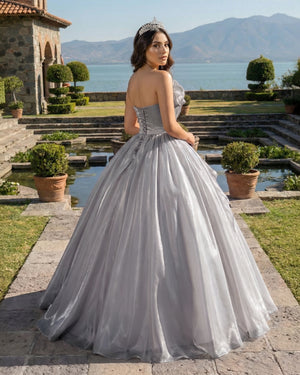 Grey Elegant Organza Strapless Quinceanera Dresses (2) | KISSPROM