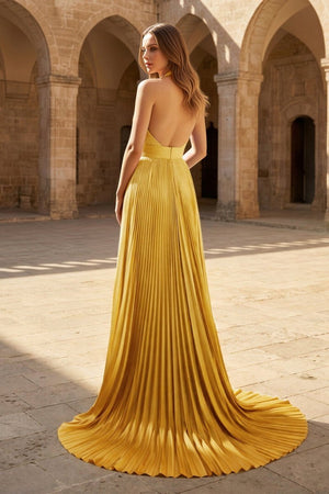 A - Line Halter Backless Pleated Blue Chiffon Long Prom Dresses - KissProm