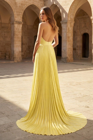 A - Line Halter Backless Pleated Blue Chiffon Long Prom Dresses - KissProm